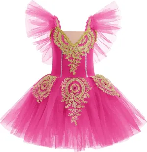 AFAVOM Ballet Leotards for Girls Ballerina Performance Swan Lake Costumes Embroidery Tulle Camisole Skirted Leotard Dancewear