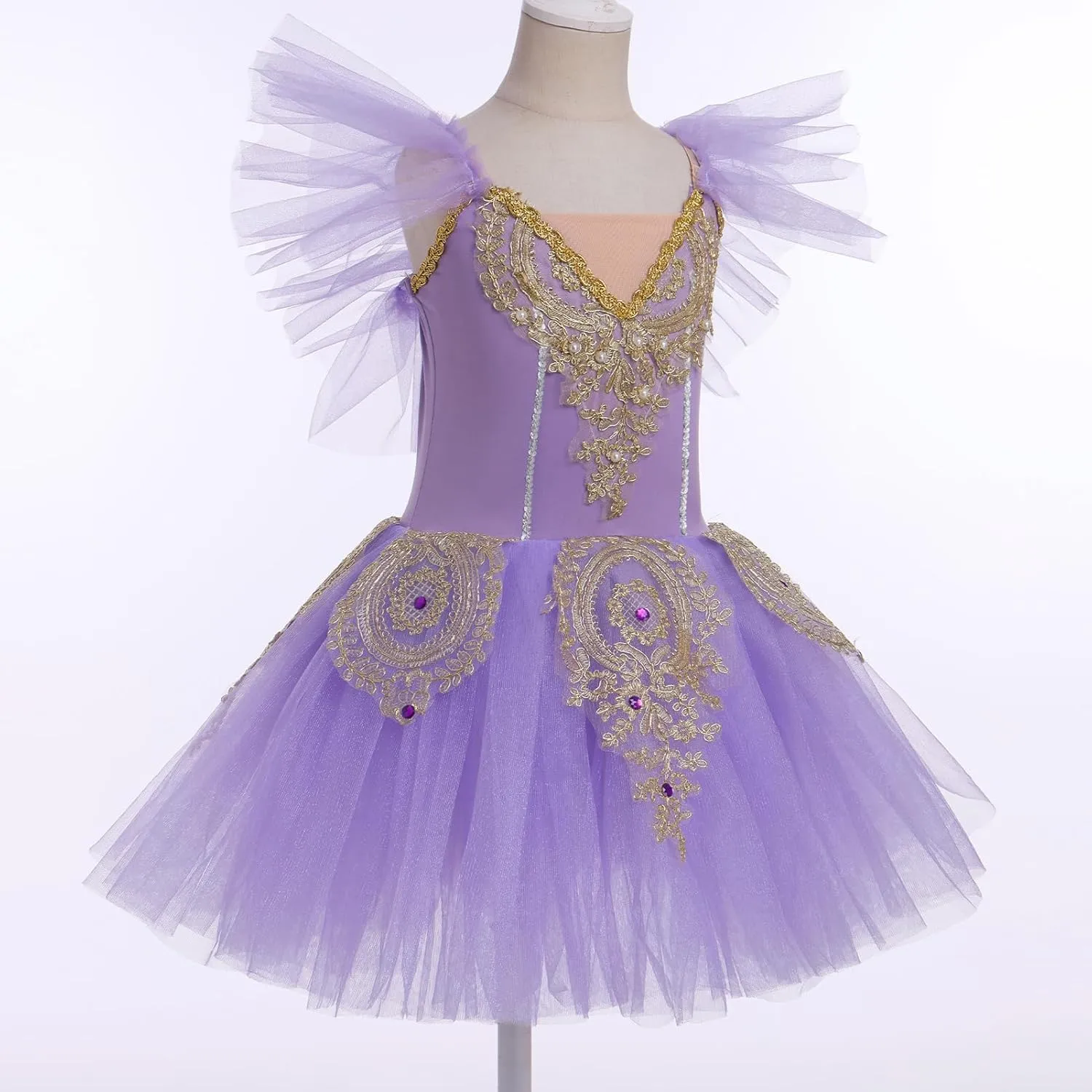 AFAVOM Ballet Leotards for Girls Ballerina Performance Swan Lake Costumes Embroidery Tulle Camisole Skirted Leotard Dancewear
