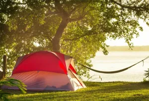 AOFOTO 7x5ft Lakeside Camping Backdrop Summer Camp Canvas Tent Hammock Photography Background Park Leisure Vacation Jungle Hiking Scouts Adventure Tree Suburbs Picnic Outdoor Campground Studio Props