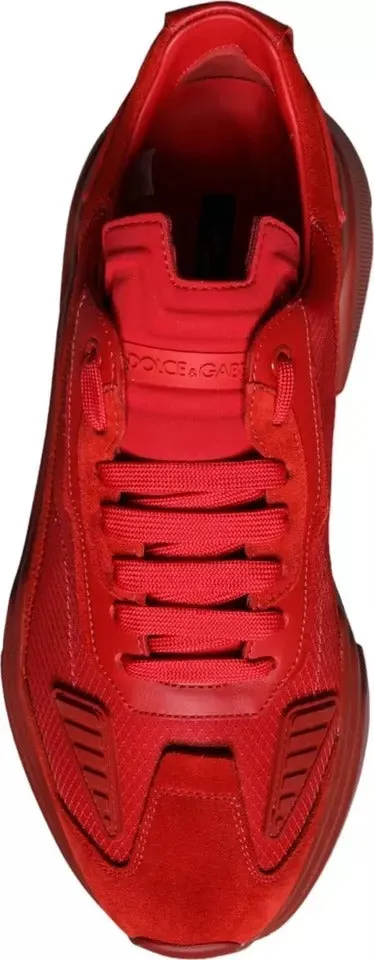 Gabbana Dolce Leather Daymaster & Friendly service Top Sneakers Hot item Shoes Low Red