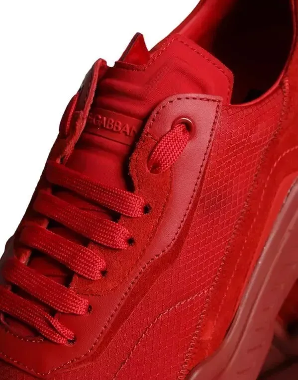 Gabbana Dolce Leather Daymaster & Friendly service Top Sneakers Hot item Shoes Low Red