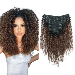Sassina Ombre Kinky Curly Clip in Human Hair Extensions for African American Black Women Double Wefts 3C 4A Afro Kinky Curly Clip in 7Pcs-120G Ombre Natural Black Chocolate Brown TN4 14Inch