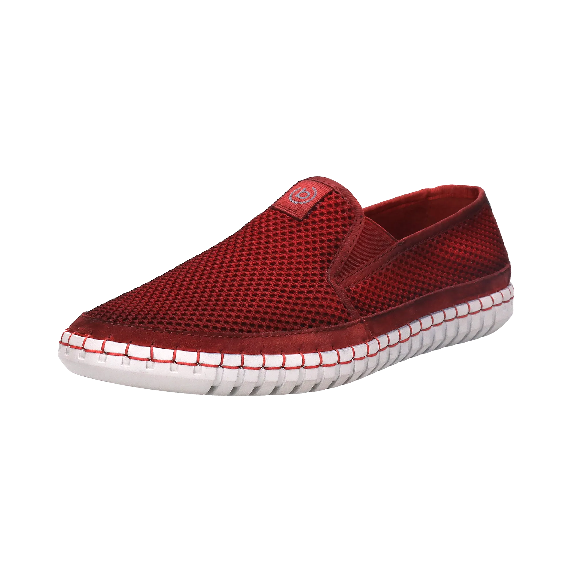 Slipper rot