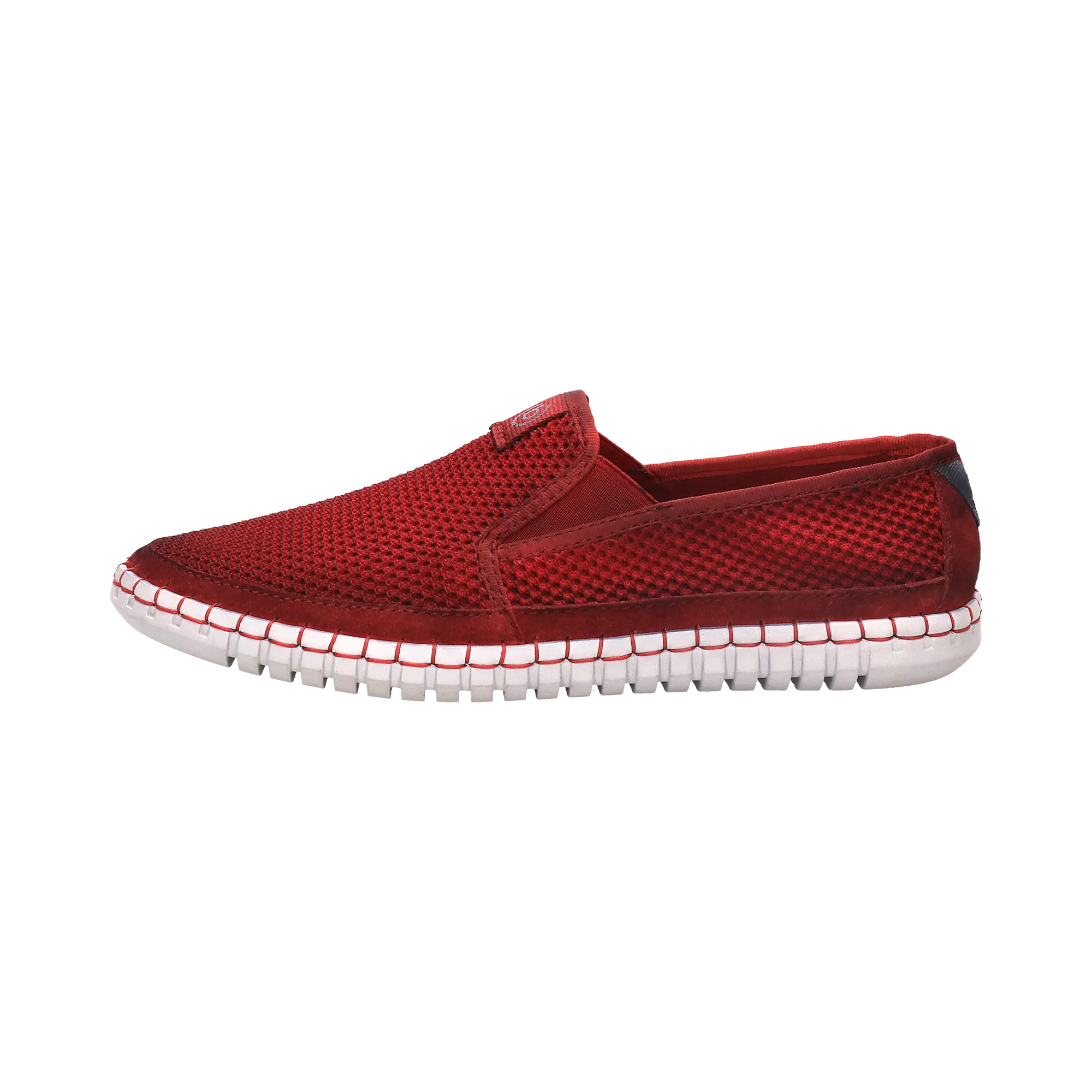 Slipper rot