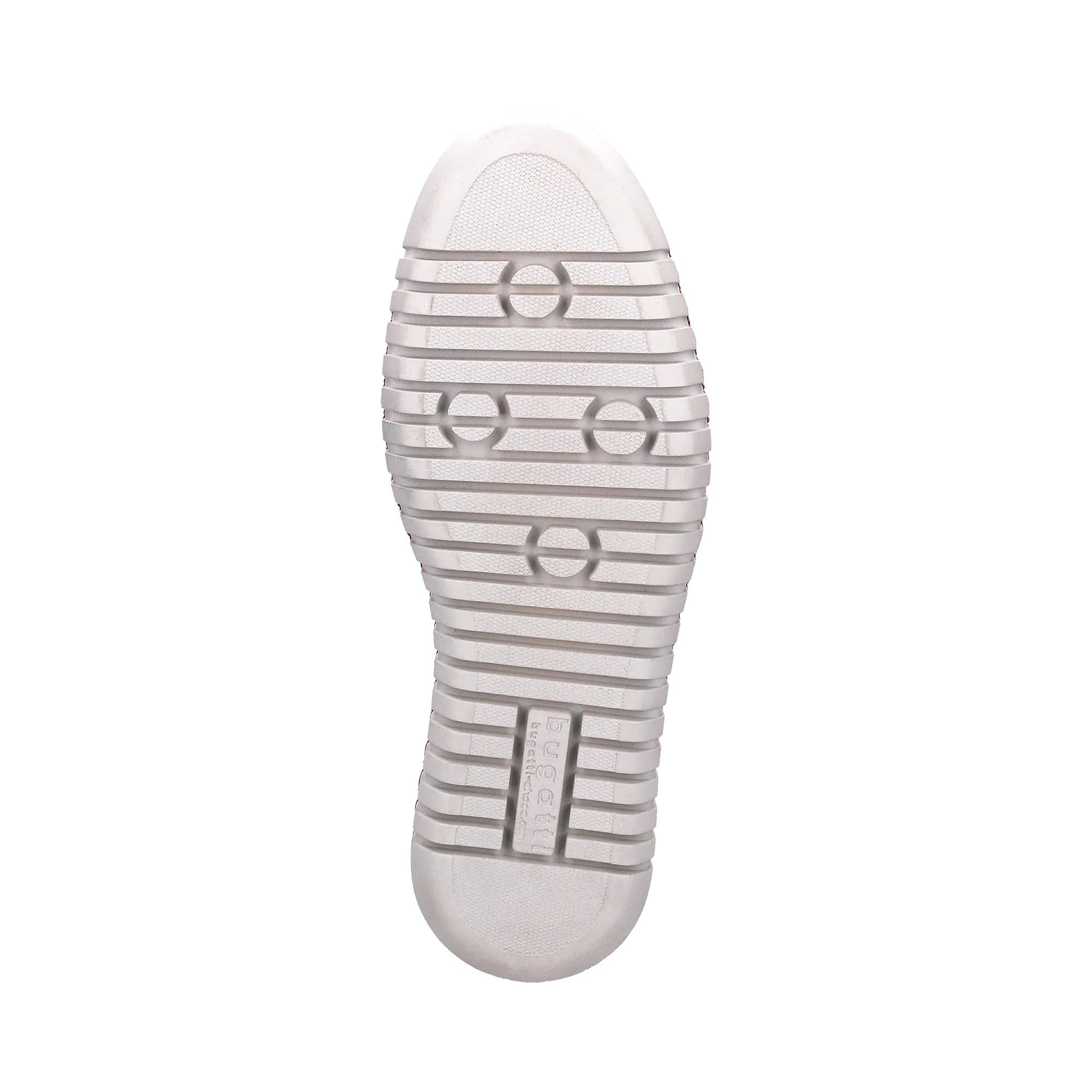 Slipper rot