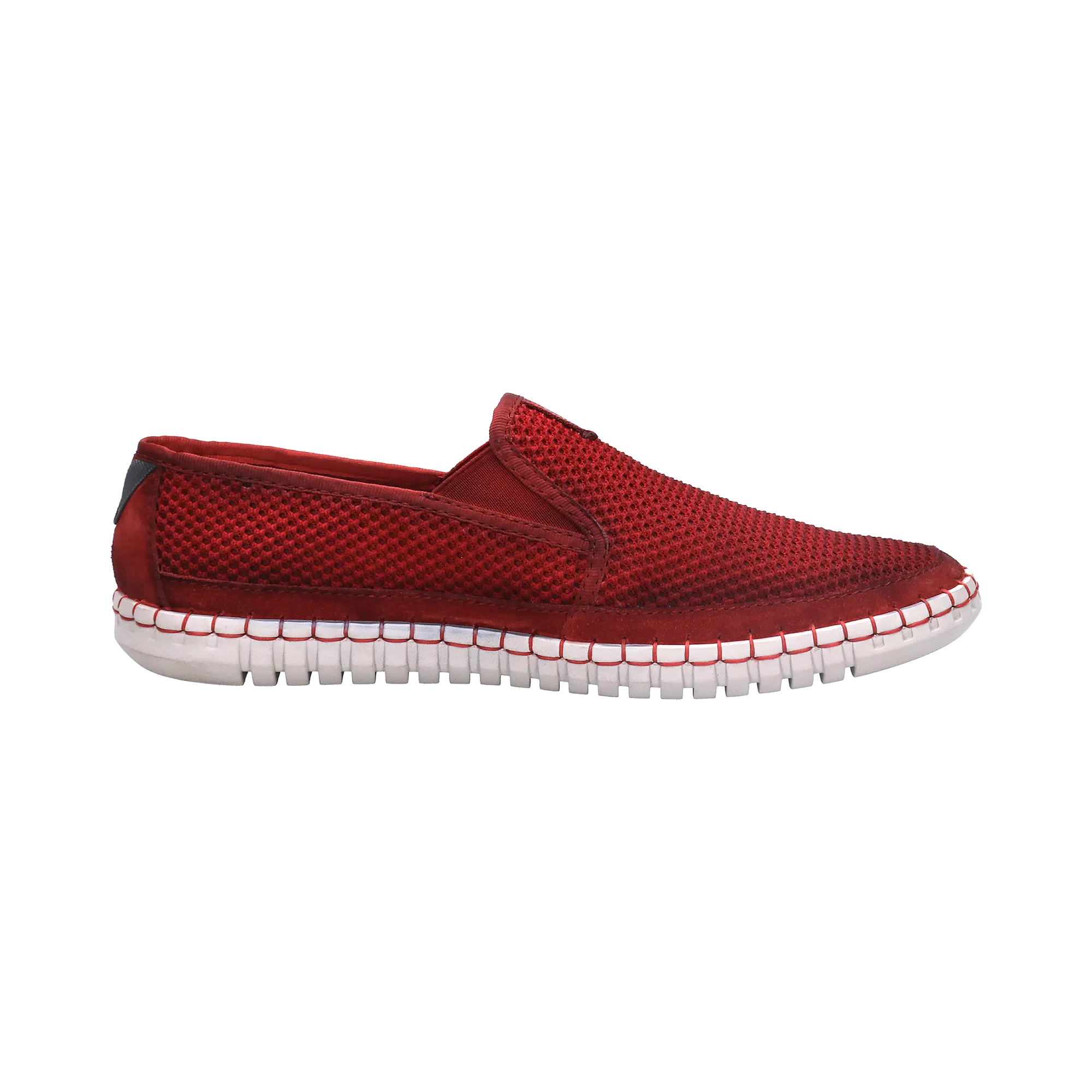 Slipper rot