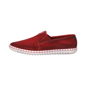 Slipper rot