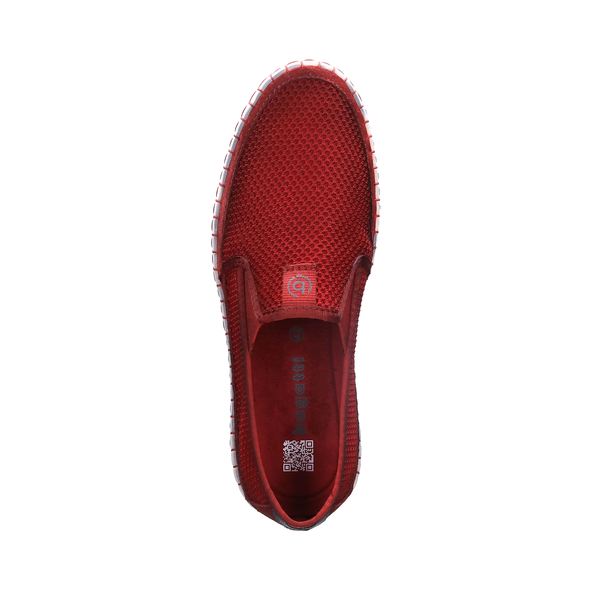 Slipper rot