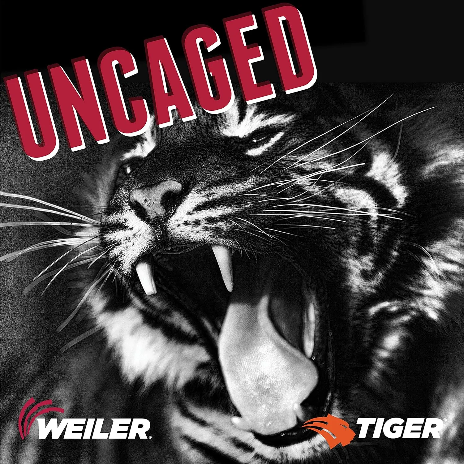 Weiler 58030 4-1/2 Inch Cutting Wheel, Tiger Zirc Steel/Metal Fast Cut & Long Life High Performance Cutting, .045" Z60T Type 27 5/8"-11 Hub, Pack of 10